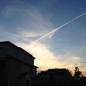 Don Omarpee's photo