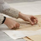Clara Bosch's photo