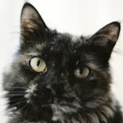 Meredith Rendall's photo