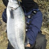 Masateru Kubo's photo