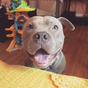Joe Coco-Mattson's photo
