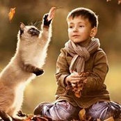 אחמד בדר's photo