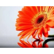 Marla Neufeld's photo