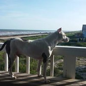 Janice Gill's photo