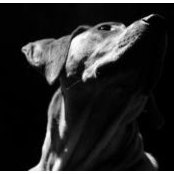 Paula Batten's photo