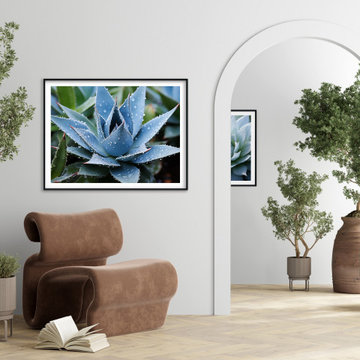 Delicate Agave Modern Organic Style Wall Art