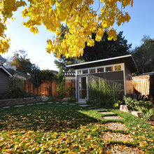 Modern Shed