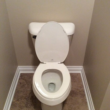 Irish Hills-Toilet