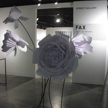 party decor