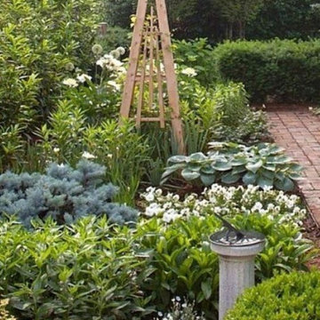 Back Yard Gardens