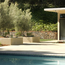 mid-century modern garden