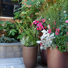 Container Gardens
