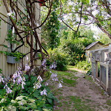 Outside house color