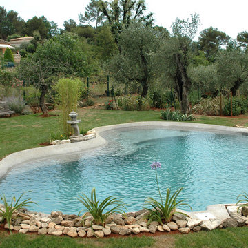 Piscine nature