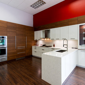 Contemporary Possibilities with Leicht