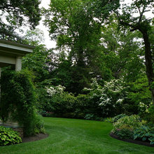 side yard landscaping