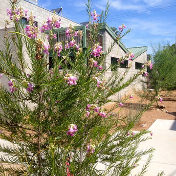 smart lofts @ mountain (in Tucson, Az.)