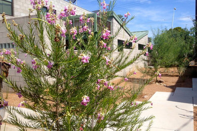 Inspiration for a mid-sized contemporary gray two-story concrete exterior home remodel in Phoenix