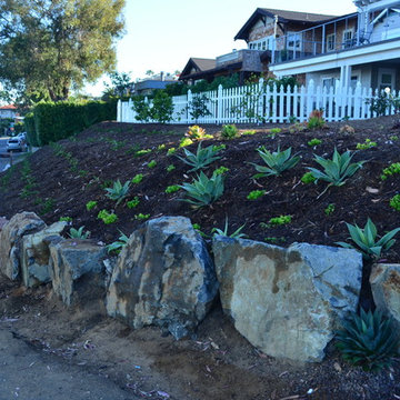 Succulents and Roses