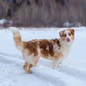 Rose Lavoie's photo