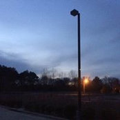 Phyllis Little's photo