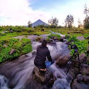 Albert Aguado's photo