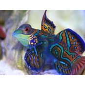 Aqua Estrada's photo