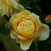 Terry OBryan's photo