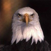 Joel Frias's photo