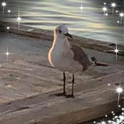 Annie Wallace's photo