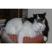 Jan Frazier's photo
