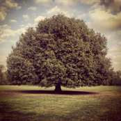 Ellie H's photo