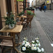 Sofia S's photo
