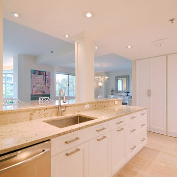 Private Residence, Chevy Chase Condominium