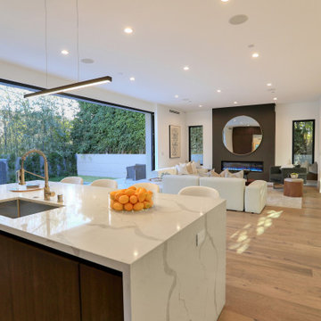 Modern Home | Mar Vista