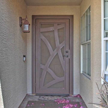 Abstract Iron Security Door