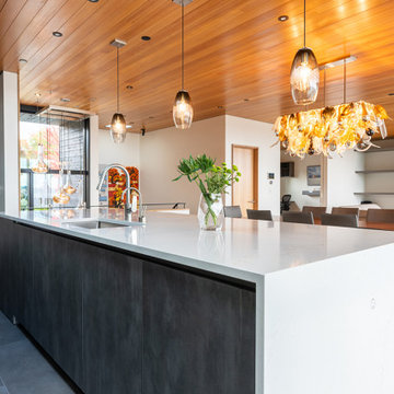 KIRKLAND KITCHEN DESIGN & PEDINI CABINETRY