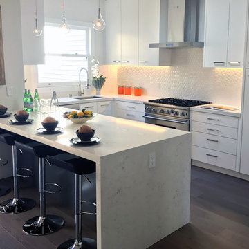 Modern Bright White Kitchen (San Francisco)