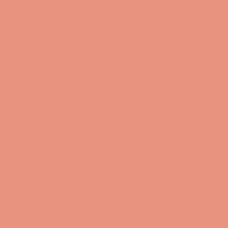 Ravishing Coral - Paint