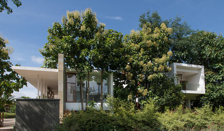 Home Cooling Tips: 12 Ways to Shade Your Home From the Sun