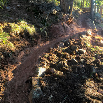 Progress, First Stretch Of Trail