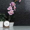 Hudson Penny Round Glossy Black Porcelain Floor and Wall Tile