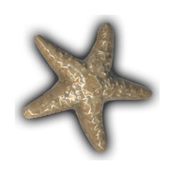 3" Extra Small Starfish - Mosaic Tile