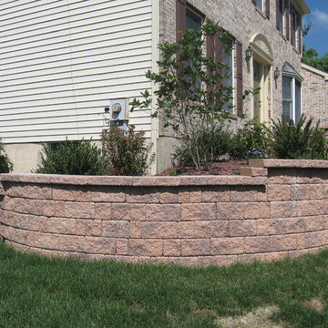 Previous Work
