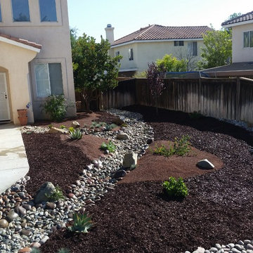 Front Yard Transformation