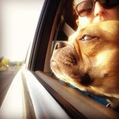 Samuela Raasch's photo