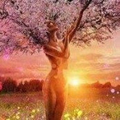 Jackie Harvell's photo