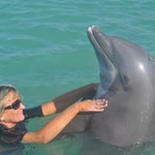 Foto von Glenda Royster