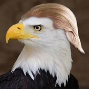 Chris Poindexter's photo