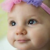 Amanda Petrie's photo